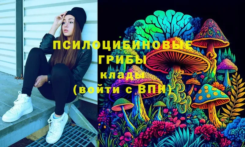 Псилоцибиновые грибы Cubensis  Белебей 